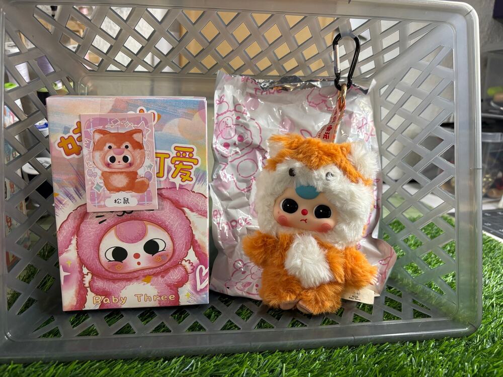 Baby Three Delovely Squirrel